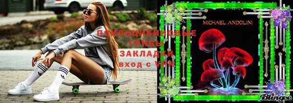 скорость Баксан