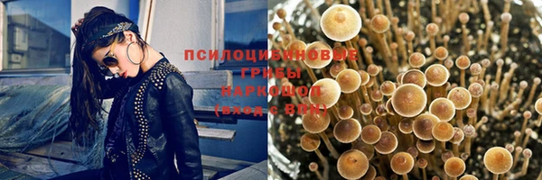 скорость Баксан