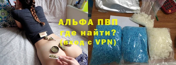 гашик Аркадак