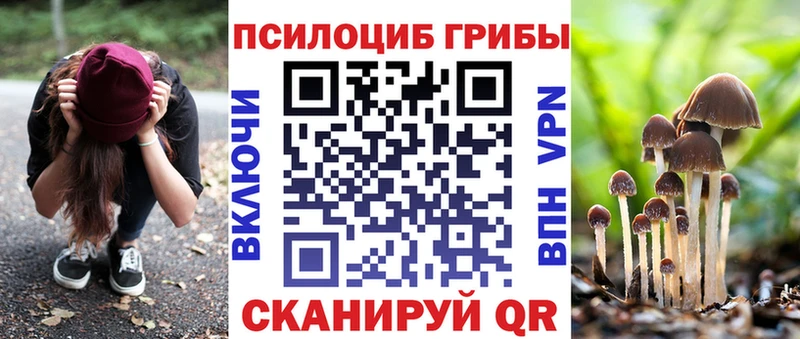 Псилоцибиновые грибы мухоморы  купить наркоту  Белозерск 